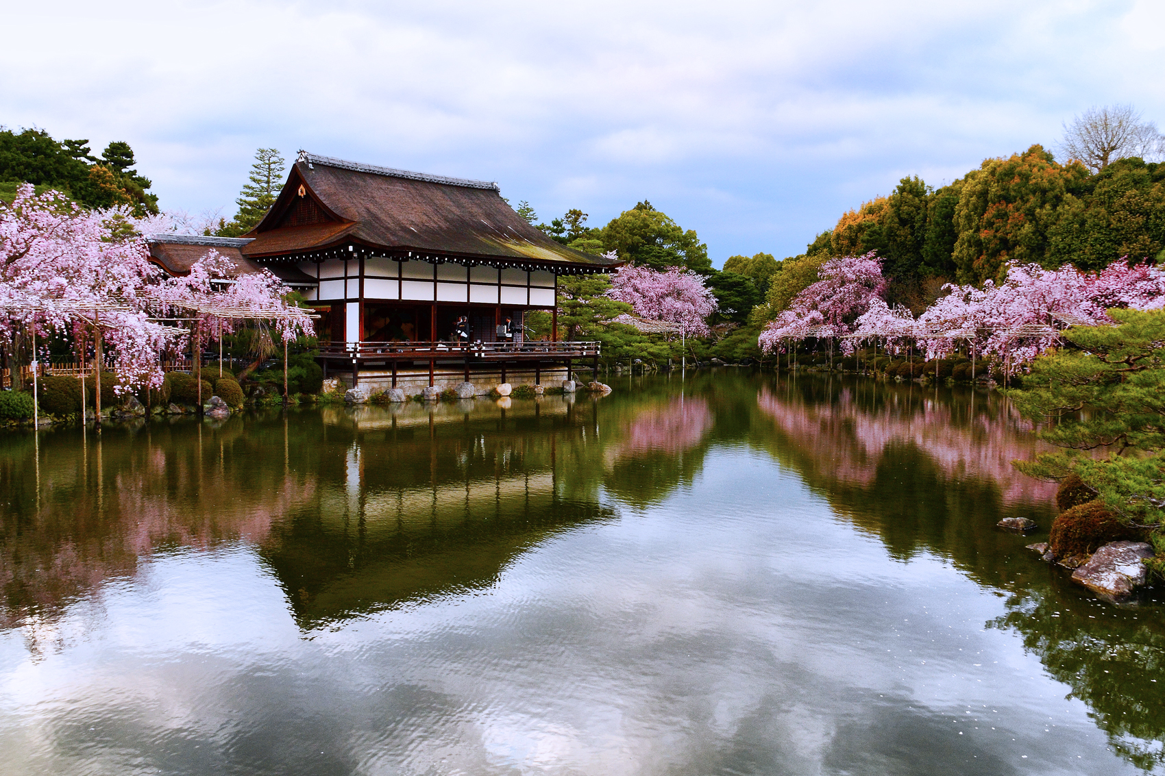 Сакура вода. Озеро бива в Японии. Сады Киото Япония. Йокогама Япония цветение Сакуры. Киото храм Сакура.